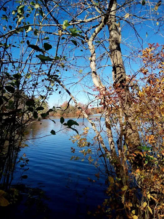 Jaggers Point Campground Picture 9
