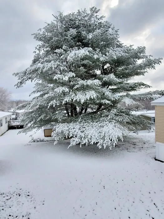 Benton Hills Mobile Home Park Picture 8