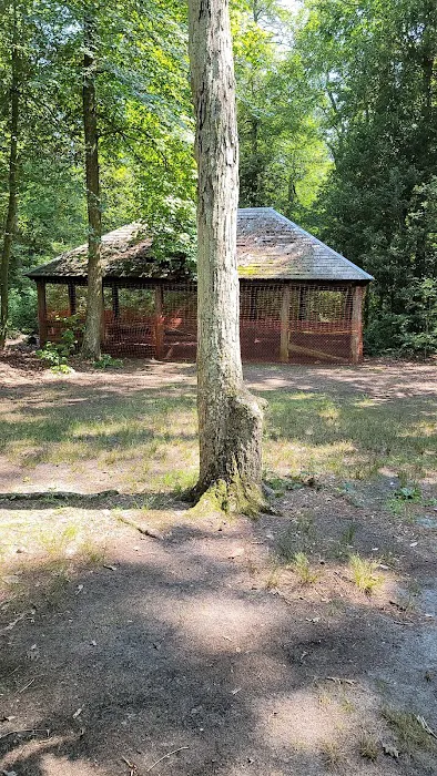 Parvin group camp parking Picture 2