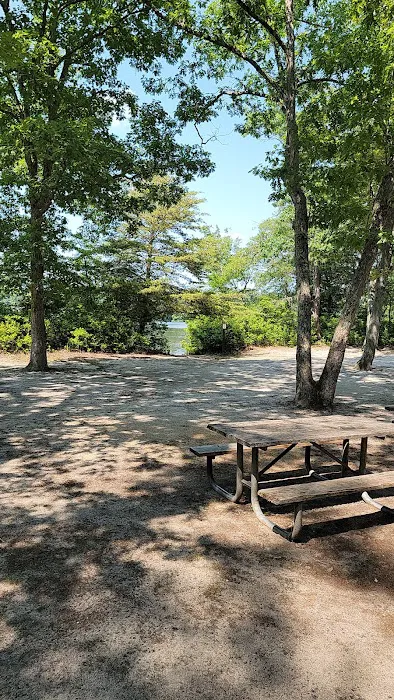 Parvin group camp parking Picture 4