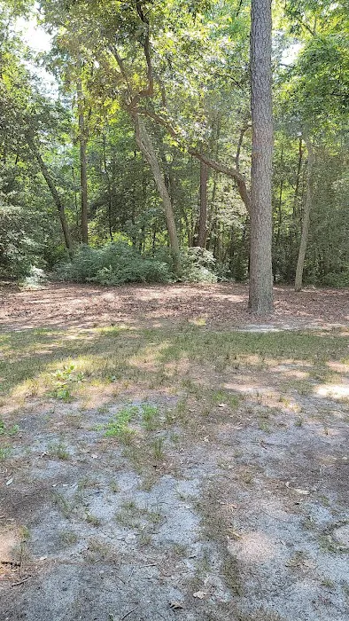 Parvin group camp parking Picture 7