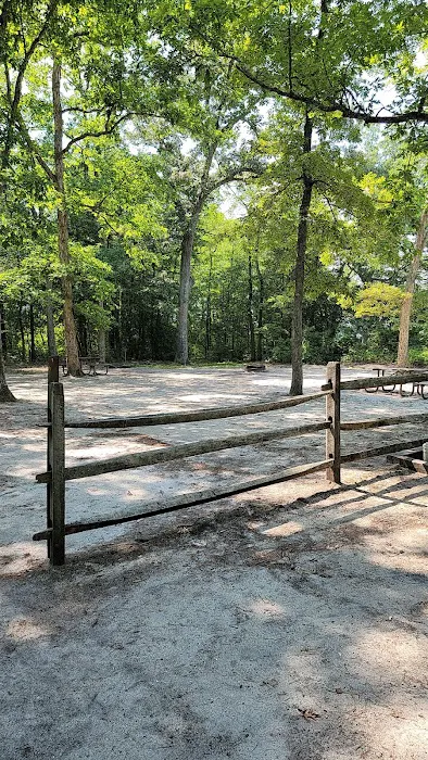 Parvin group camp parking Picture 8