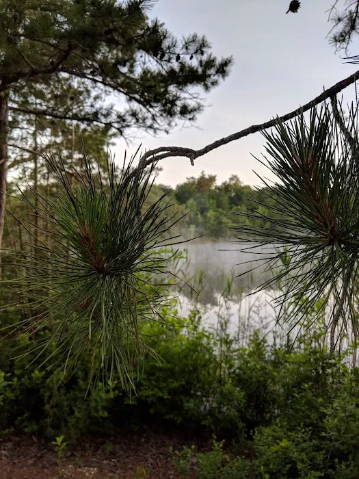 Lazy River Campground Picture 10