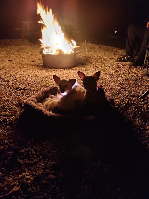 Colonial Meadows Family Campground Picture 6