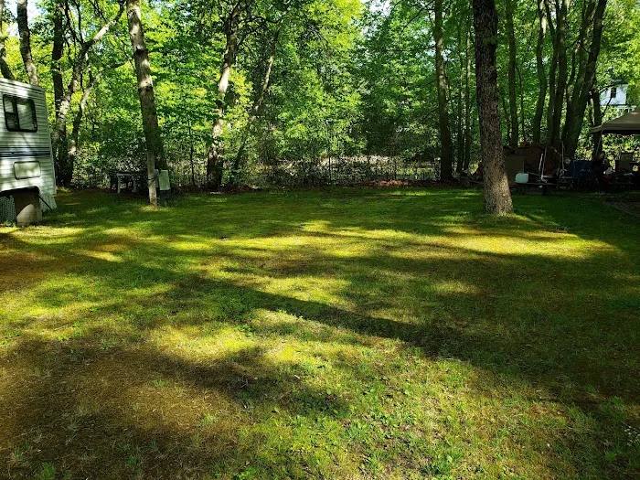The Island RV Park Picture 8