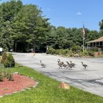 Aces High RV Park
