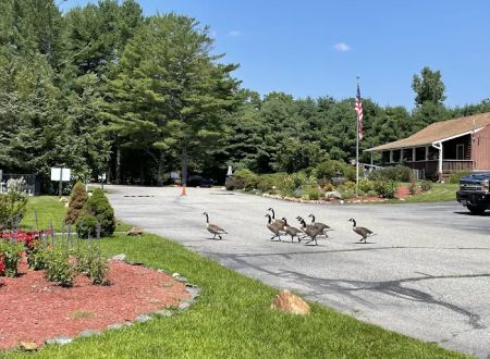 Aces High RV Park