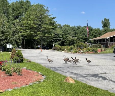 Aces High RV Park