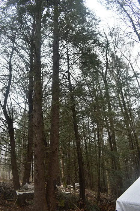 The Camp at Twin Creeks Picture 2
