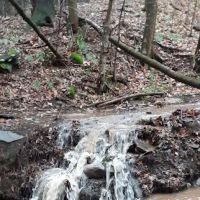The Camp at Twin Creeks ico