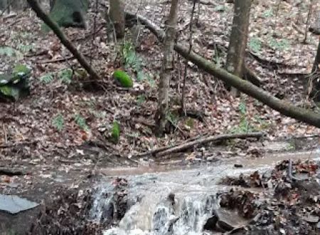 The Camp at Twin Creeks