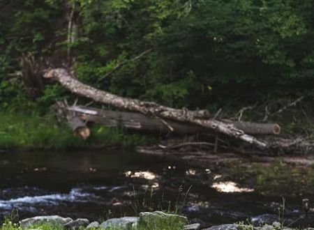 Covered Bridge Campsite