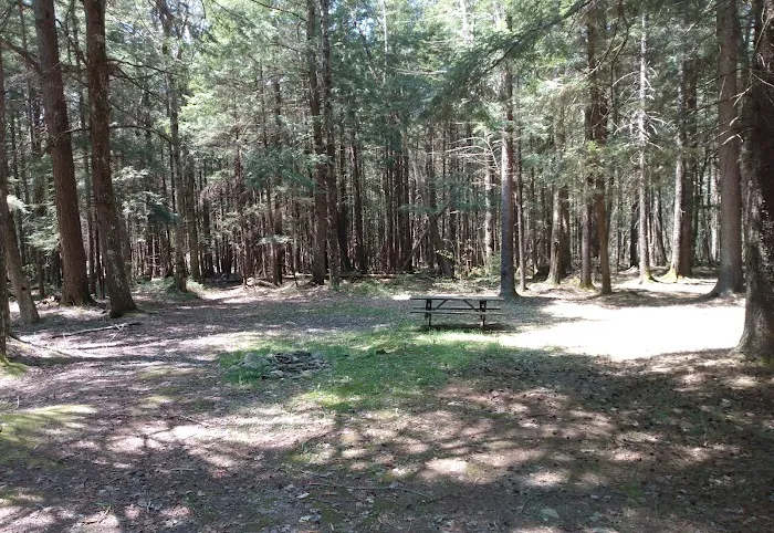 Willowemoc Campgrounds Picture 4