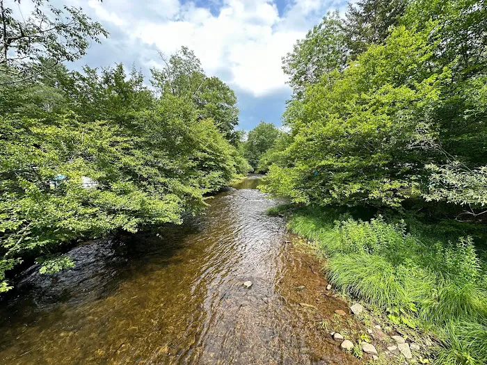 Willowemoc Campgrounds Picture 10