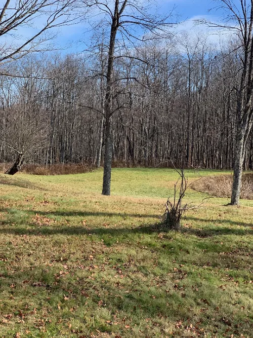 Namaste Catskills Picture 6