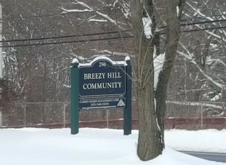 Breezy Hills
