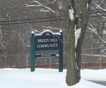 Breezy Hills