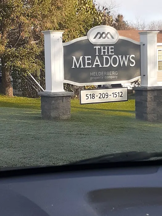 The Meadows Picture 2