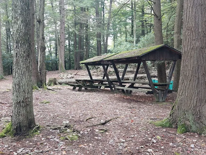 Five Mile Point Group Campground Picture 1