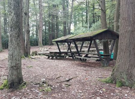 Five Mile Point Group Campground
