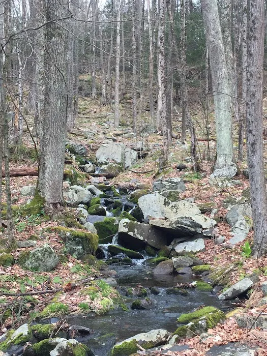 Ledgedale Recreation Area Picture 4