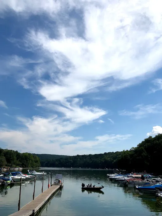 Ledgedale Recreation Area Picture 10