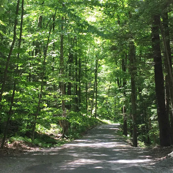 Ledgedale Recreation Area Picture 8