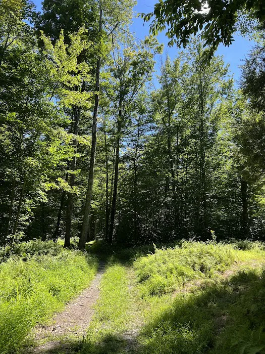 Secluded Acres Campground Picture 7