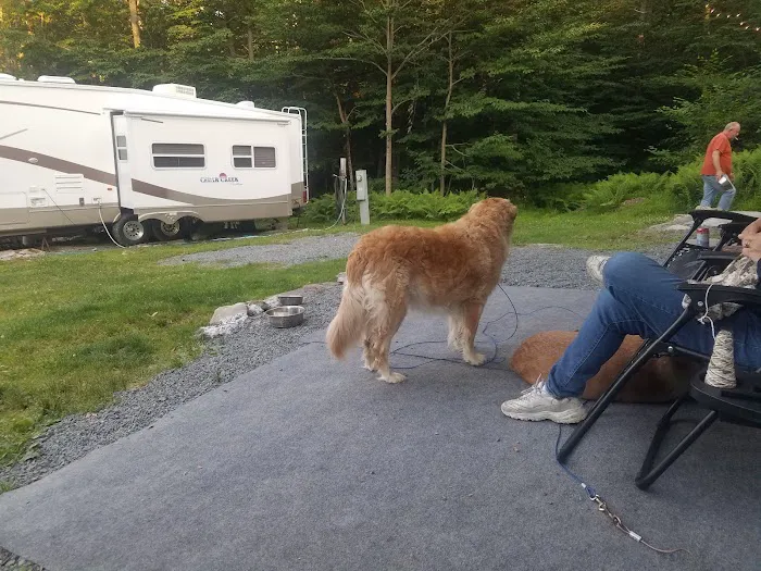 Secluded Acres Campground Picture 10