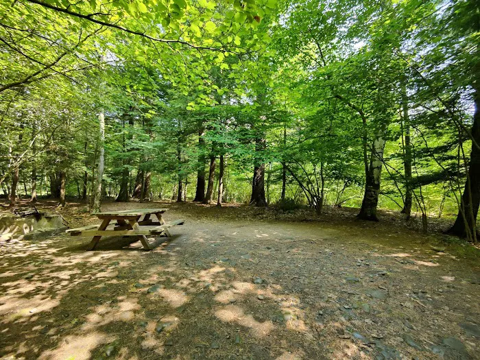 Kenneth L. Wilson Campground Picture 3