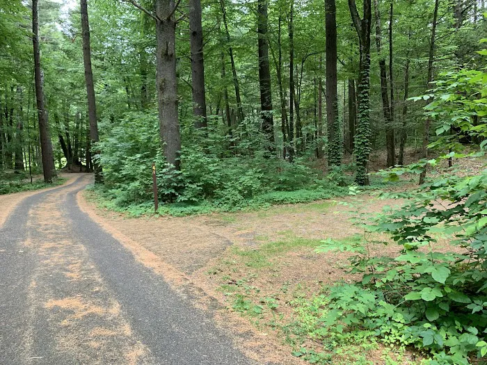 Kenneth L. Wilson Campground Picture 5