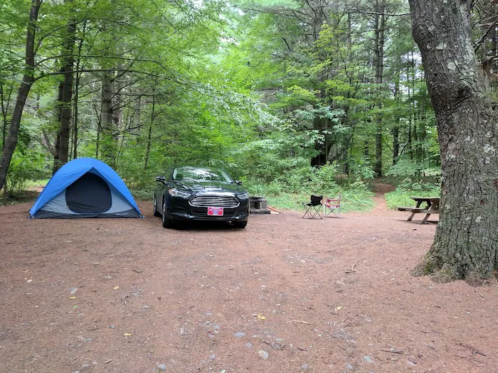 Kenneth L. Wilson Campground Picture 4