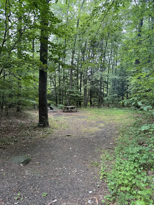 Kenneth L. Wilson Campground Picture 9