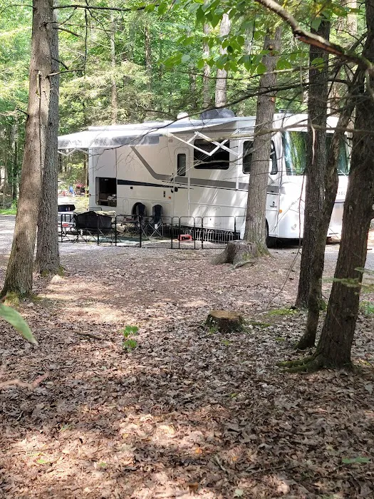 Rip Van Winkle Campgrounds Inc Picture 10