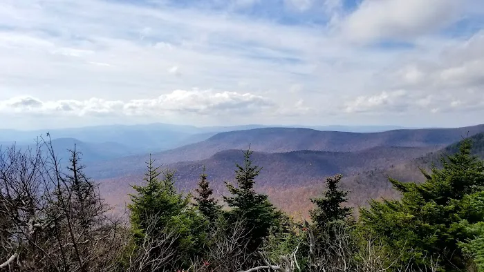Devils Path Trail. Camp Area Picture 2