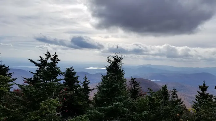 Devils Path Trail. Camp Area Picture 1