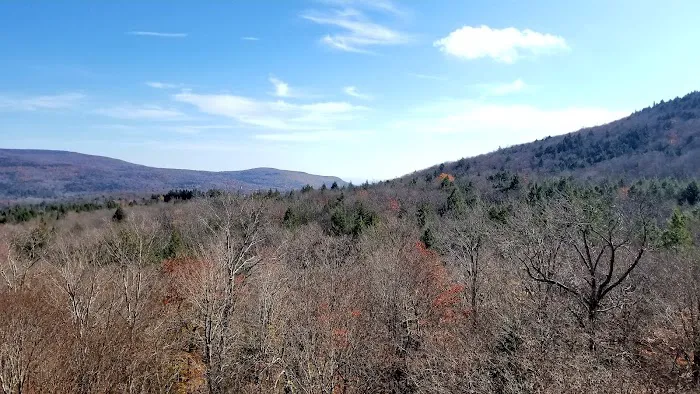 Devils Path Trail. Camp Area Picture 9