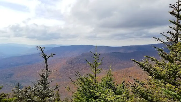 Devils Path Trail. Camp Area Picture 8