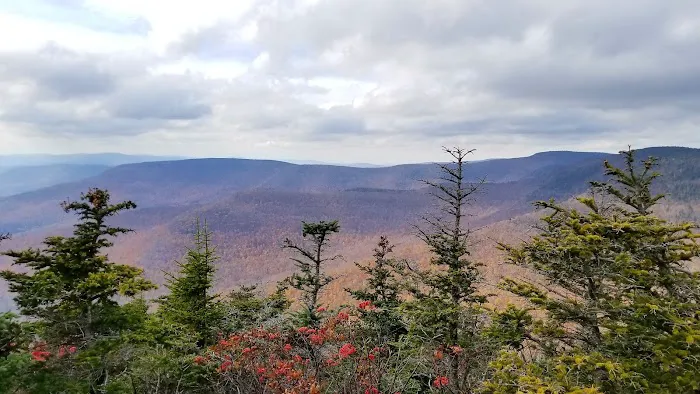Devils Path Trail. Camp Area Picture 7