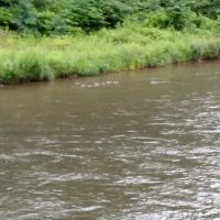 Sleepy Hollow Campground ico
