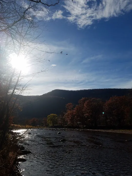 Sleepy Hollow Campground Picture 7