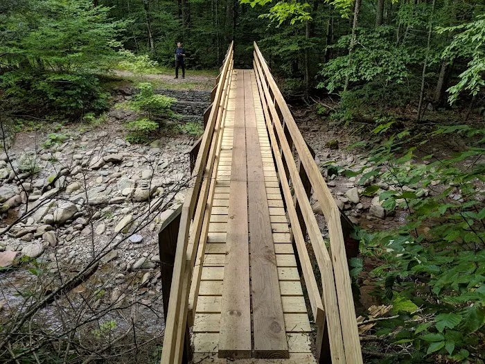 Woodland Valley Campground Picture 2