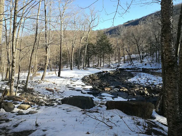 Woodland Valley Campground Picture 8