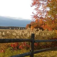 Country Meadows Rents & Sales ico