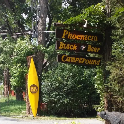 Phoenicia Black Bear Campground Picture 3