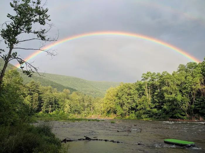 Phoenicia Black Bear Campground Picture 4