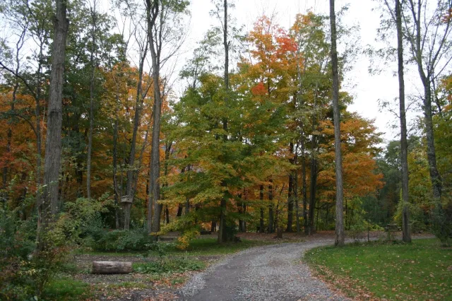 Phoenicia Black Bear Campground Picture 5