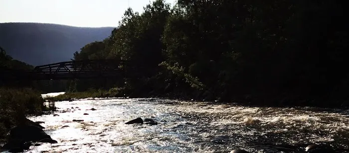 Phoenicia Black Bear Campground Picture 9