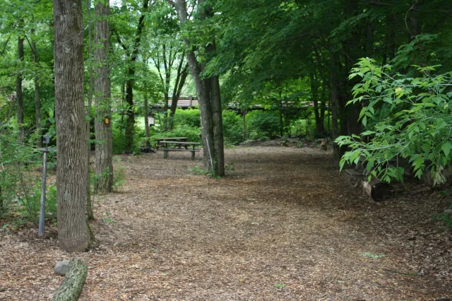 Phoenicia Black Bear Campground Picture 7