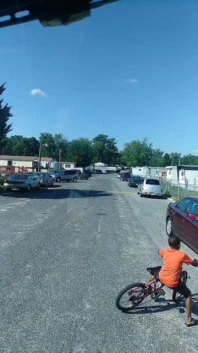 Tips Trailer Park Picture 6